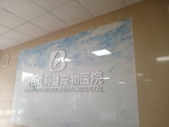 -宠颐生贝利健动物医院(谢家湾分院)