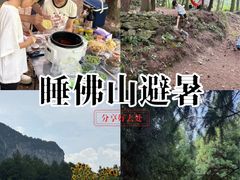 -重庆睡佛山森林公园