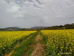 -光明小镇欢乐田园