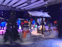 -宁波冰雪大世界(北仑区)