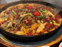 -老板恋上鱼(印象城店)