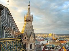 -斯蒂芬主教座堂(Stephansdom)