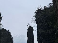 -恩施大峡谷