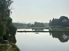 -洋湖国家湿地公园