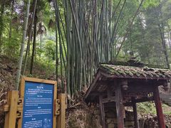 -凤栖山