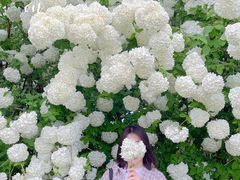 -漕湖湿地公园