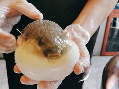 -肆月河豚·新淮扬(金融街店)