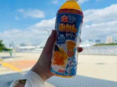 -台场海滨公园船码头