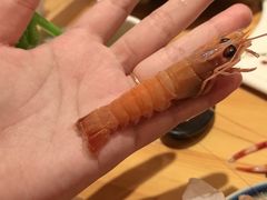 -蟹福家活蟹料理·豪华自助(绿洲假日酒店)