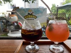 -柴犬高等学院·狗咖·柴犬售卖·宠物训练