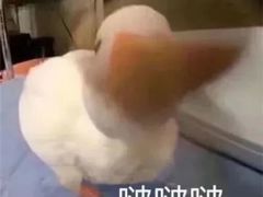 -山东大学(兴隆山校区)