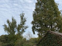 -白马涧龙池景区