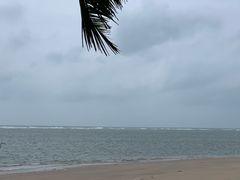 -东郊椰林