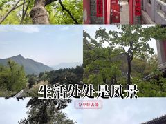 -潭柘寺景区