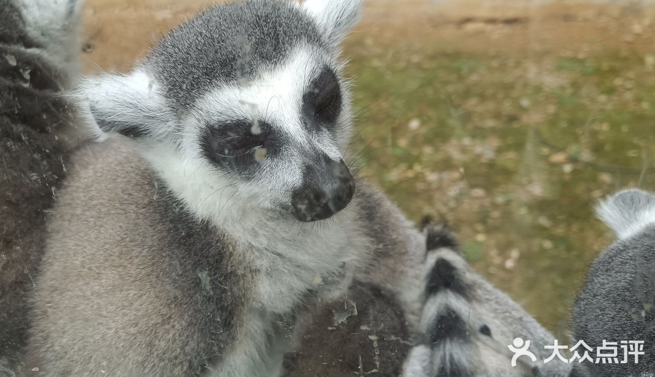 位置在遵义动物园是第一次去门票12元一个人