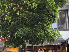 -麻雀咖啡SPARROW COFFEE(十全街店)