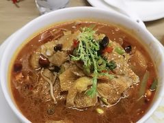 -枣子树·素食餐厅(朱家尖店)