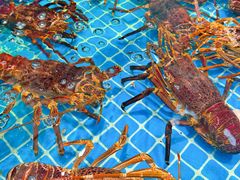 -良师门滨海人家·海鲜·家常菜(滨海城店)