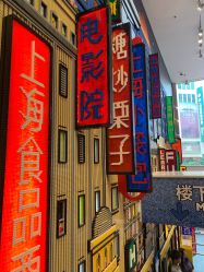 -乐高品牌旗舰店(人民广场店)