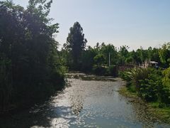 -白鹭湾湿地公园