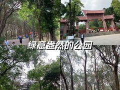 -榴花公园