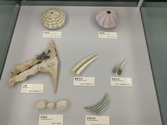 -天津古林古海岸遗迹博物馆