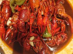 -杨氏青龙虾·羊蝎子(托乐嘉店)
