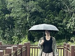 -海南热带雨林国家公园吊罗山景区