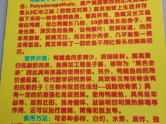 -鸿渡渔庄·特色鸭咀鱼