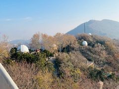 -紫金山天文台