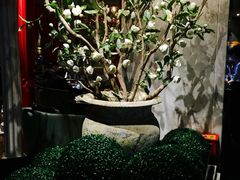 -半秋山西餐厅(巴南万达广场店)