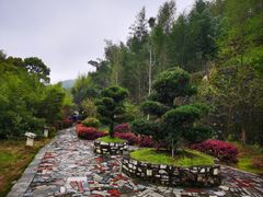 -蔡伦竹海