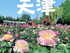 -睦南公园