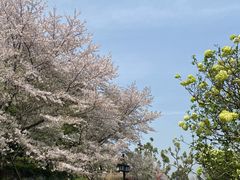-苏州上方山国家森林公园