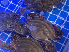 -77号渔船·蒸海鲜青岛菜(积米崖店)