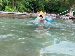 -深业半汤御泉庄温泉