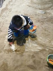 点击看大图 -恐龙探索乐园(磁器口店)