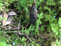 -邱记私房菜·十八年本地菜