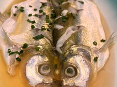 -呼吸森林·生态农庄农家乐私房菜