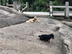 -灵岩山风景区