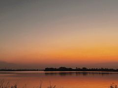 -漕湖湿地公园