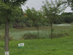 -白鹭湾湿地公园