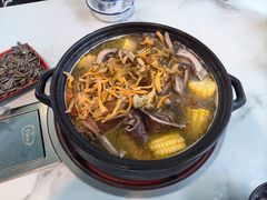-蘑统田下·野生菌火锅
