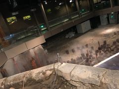 景点-元代水闸遗址博物馆