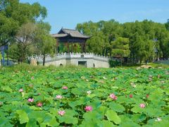 -长春北湖公园