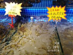 应季海鲜-必点海鲜·鲅鱼水饺(鞍山西道店)