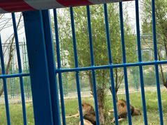 -鄂尔多斯野生动物园