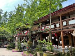 -青城甲(青城山店)