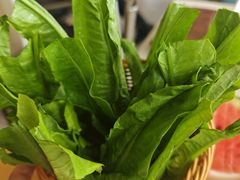 -菌子鲜汤野生菌锅