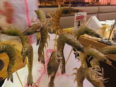 -尚海豆捞(乐虹坊店)